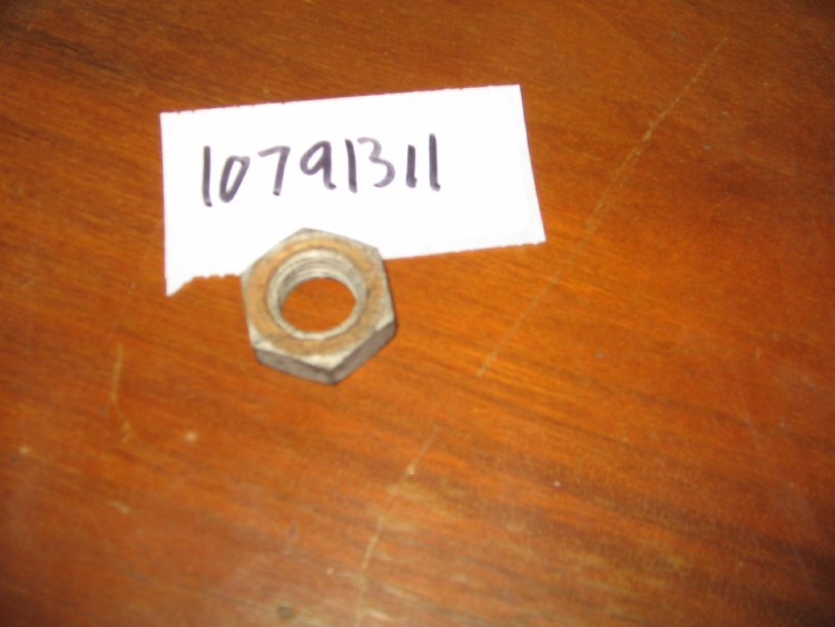 NUT OF VARIOUS USES