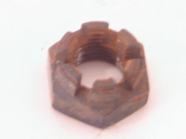 NUT OF VARIOUS USES