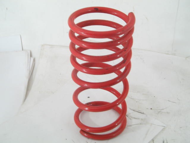JAMEX LOWERED REAR COIL SPRING