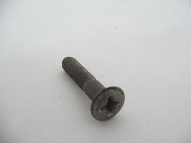 DOOR PULL SCREW