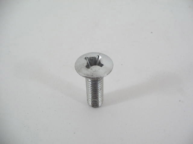 CHROME PHILLIPS HEAD SCREW