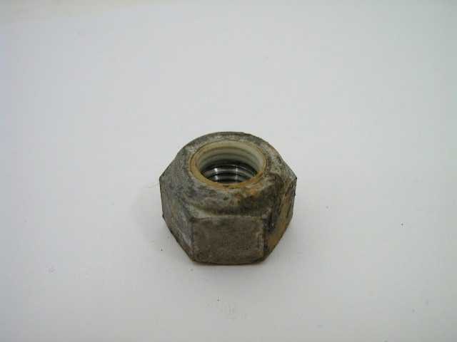 NUT OF VARIOUS USES