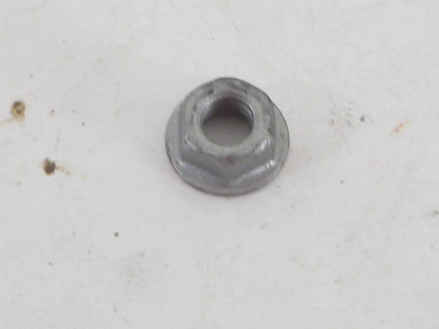 NUT OF VARIOUS USES