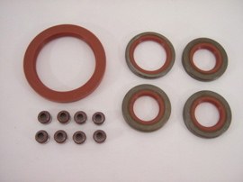 ENGINE SEAL KIT
