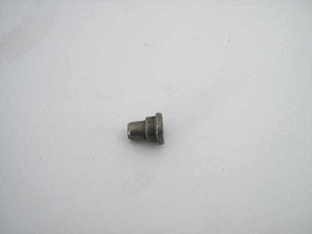 WING VENT WINDOW PIVOT RIVET