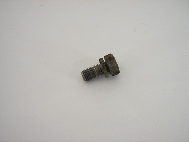 BRAKE BACKING PLATE BOLT