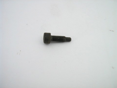 SPEEDO DRIVE RETAINING SCREW
