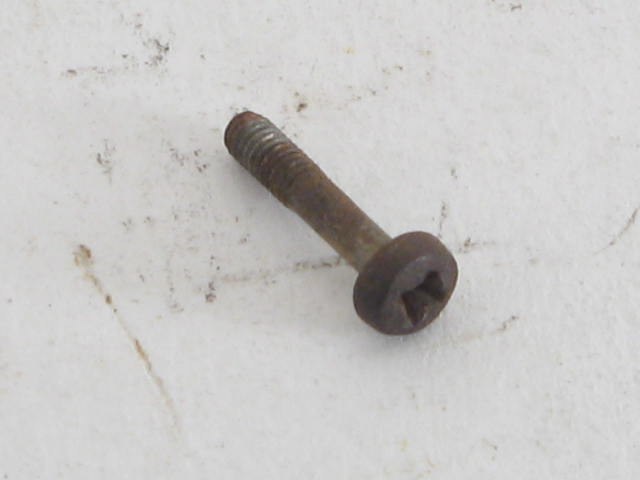 FRONT TURN SIGNAL LENS SCREW