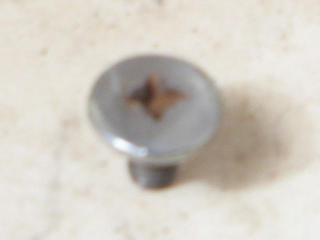 DECORATIVE SCREW FOR HINGE