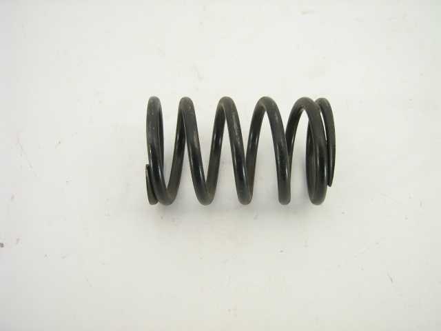 OUTER VALVE SPRING