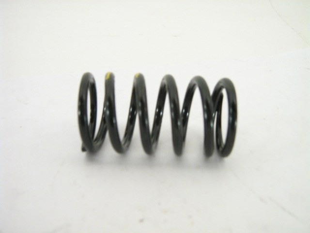 VALVE SPRING