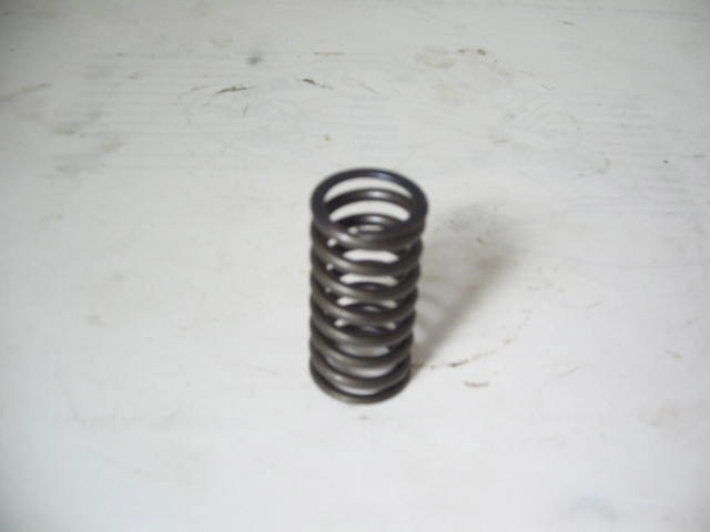 INNER VALVE SPRING