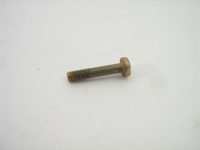 1973-76 MOUNTING SCREW