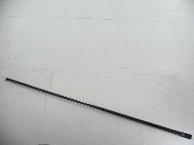 FENDER OR DOOR MOULDING
