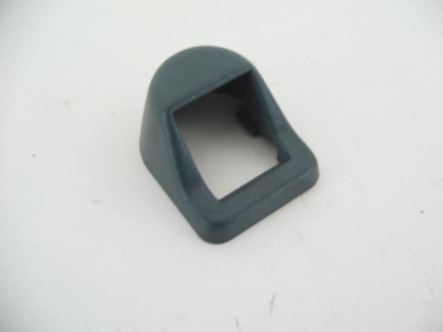 1979-82 BLUE DOOR RELEASE TRIM