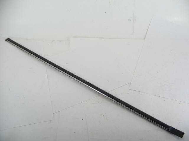 LEFT REAR DOOR MOULDING