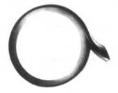 LEFT HEAD LAMP FRAME W HOLE