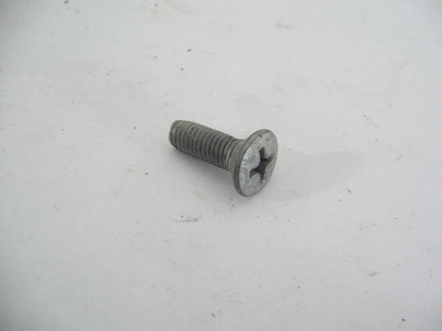 SUN VISOR POST MOUNTING SCREW