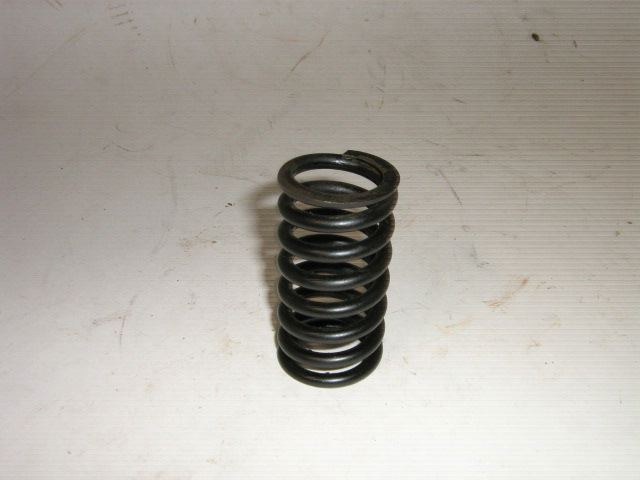 SPRING INSIDE MOTOR MOUNT