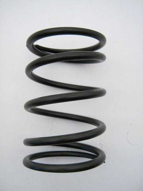 REAR ENGINE MOUNT SPRING