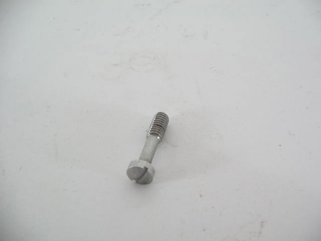 TAIL LAMP LENS SCREW