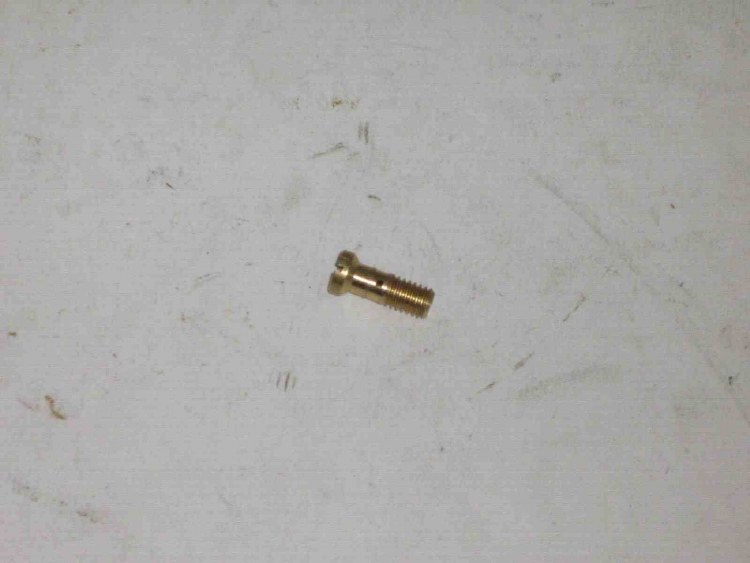ACCEL PUMP CHECK VALVE SCREW