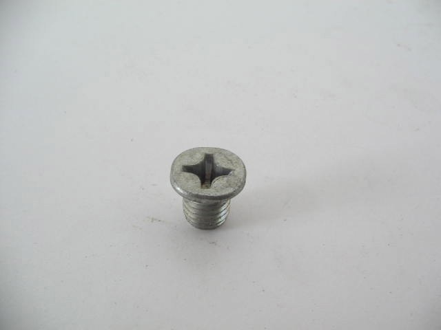 SHORT & FAT PHILLIPS SCREW