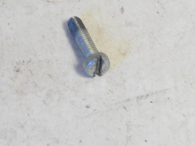 1968-74 PARK LAMP LENS SCREW