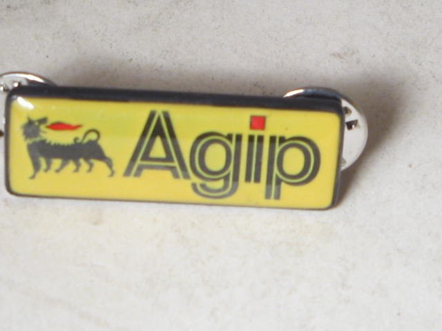 AGIP PIN