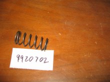 FUEL PUMP INTERNAL SPRING