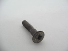 DOOR PULL SCREW