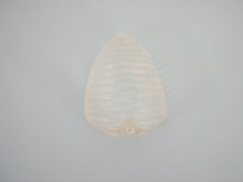 CLEAR LENS FOR 23118 LAMP