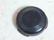 BLACK HORN BUTTON ONLY