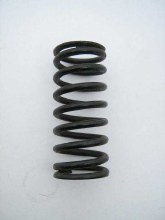 SPORT VALVE SPRING