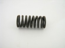 VALVE SPRING