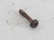 FRONT TURN SIGNAL LENS SCREW