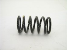 VALVE SPRING