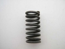 INNER VALVE SPRING