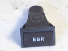 1975 EGR LAMP