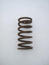 VALVE SPRING