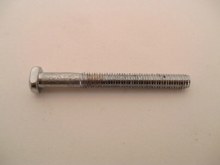 TAIL LIGHT SCREW