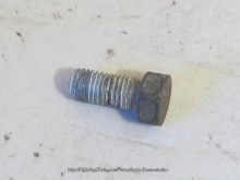 WATER CHOKE COVER BOLT