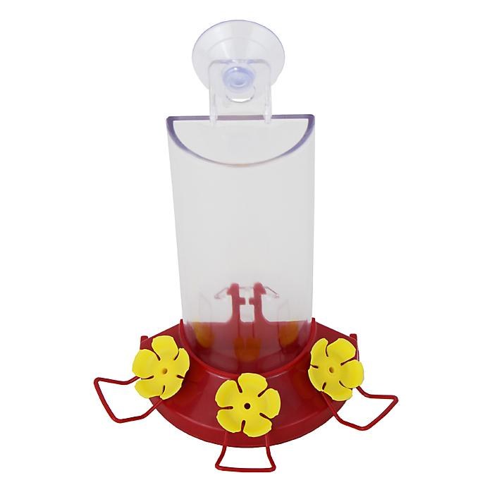 Hummingbird Feeder Window 217