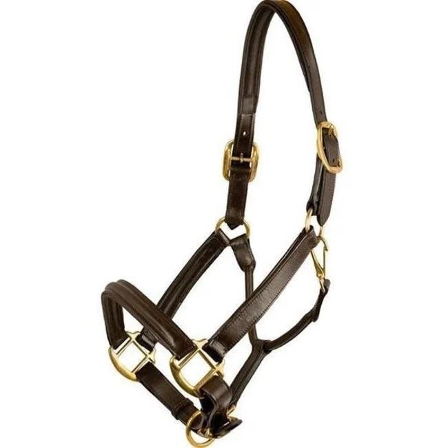 Henri de Rivel Padded Leather Halter Horse