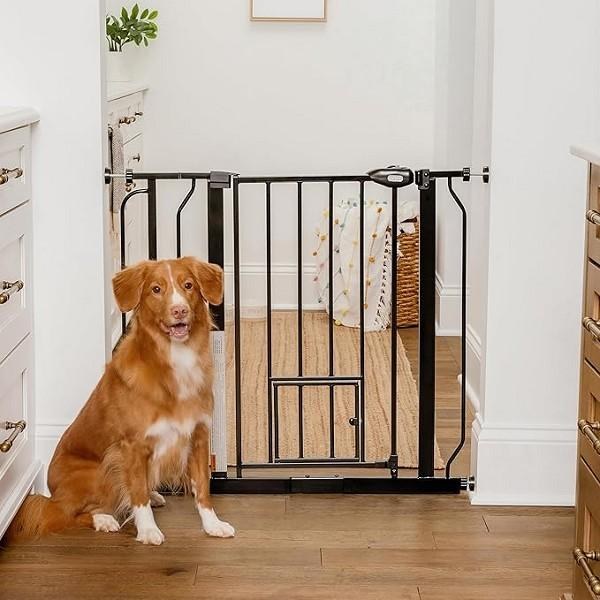 Carlson Gate Extra Wide 36in