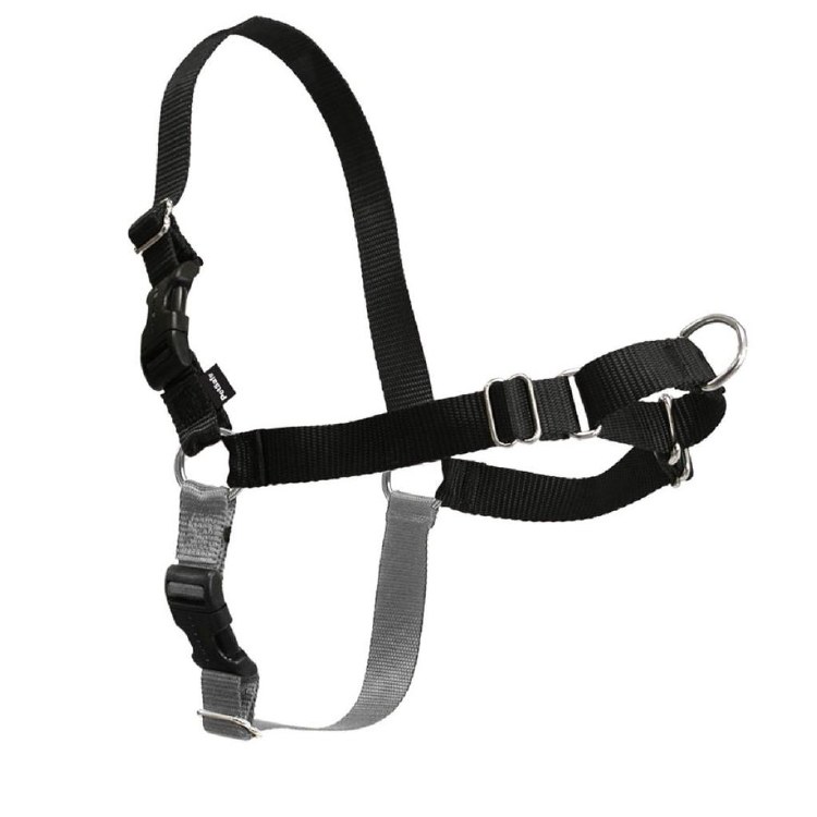 Harness - Easy Walk Black M/L