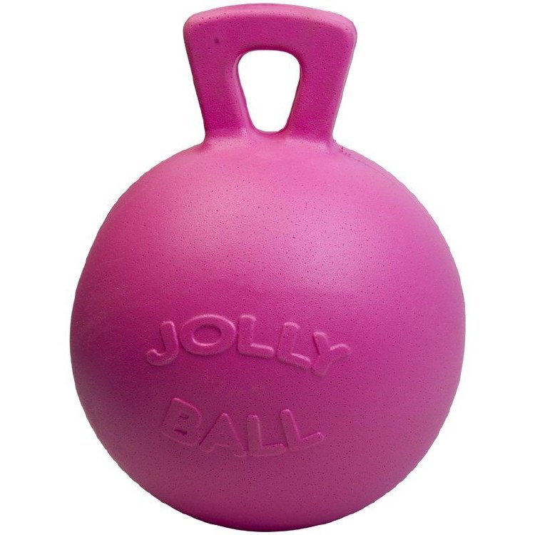 Jolly Ball 10in - Bubble Gum