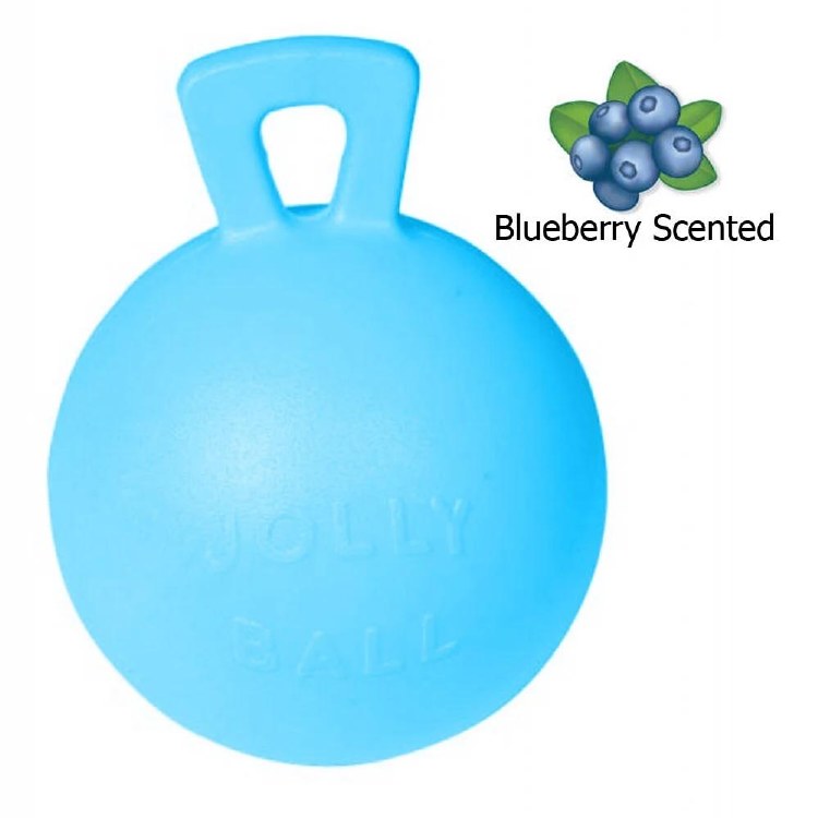 Jolly Ball 10in - Blueberry