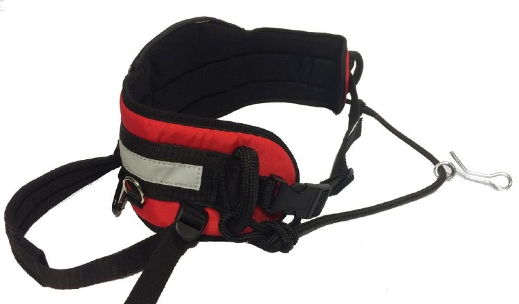 Skijor Belt and Bungee Line M