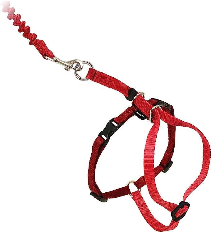 Come With Me Kitty Harness Red L